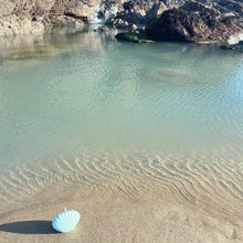 Load image into Gallery viewer, Shell Candles