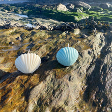 Load image into Gallery viewer, Shell Candles