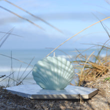 Load image into Gallery viewer, Shell Candles