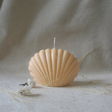 Load image into Gallery viewer, Shell Candles